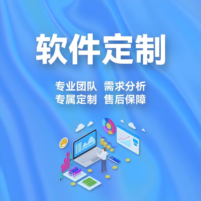 软件定制服务引领企业信息化升级革命